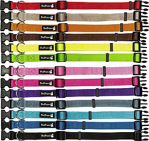 קולר לכלב מידה קטנה XS בייסיק PetsProject קולר לכלב מידה קטנה XS בייסיק PetsProject