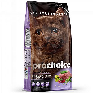 פרוצ'ויס/prochoice כבש ואורז לגורי חתולים פרוצ'ויס/prochoice כבש ואורז לגורי חתולים