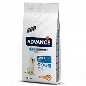אדוונס/ADVANCE בוגר גזע גדול אדוונס/ADVANCE בוגר גזע גדול