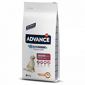 אדוונס/ADVANCE סניור גזע גדול אדוונס/ADVANCE סניור גזע גדול