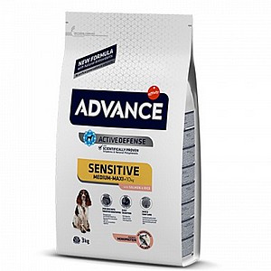 אדוונס/ADVANCE בוגר סנסטיב אדוונס/ADVANCE בוגר סנסטיב