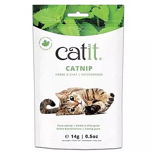 קטניפ/Catnip קטניפ/Catnip