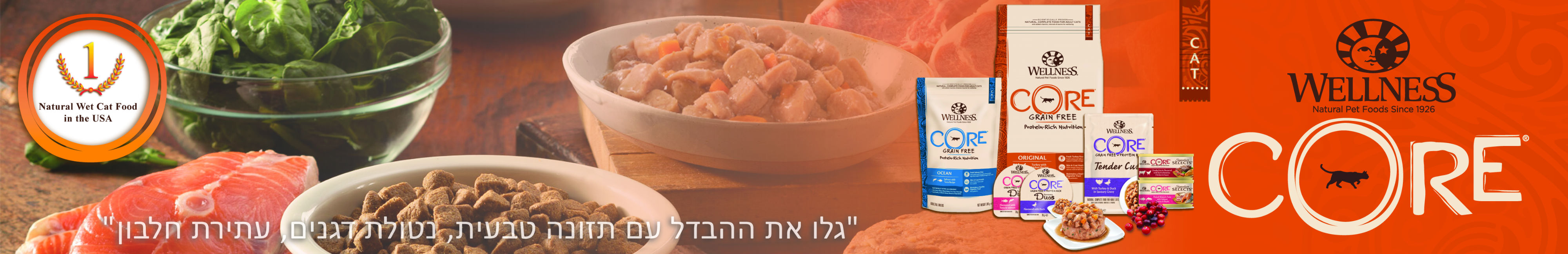 וולנס חתולים